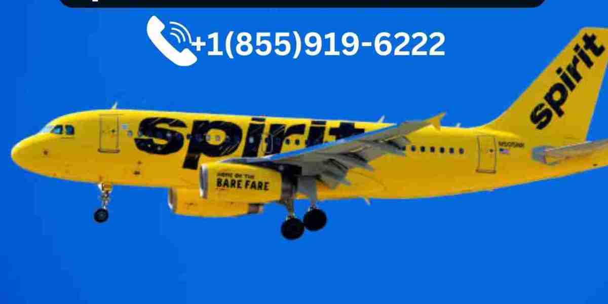 Spirit Airlines Unaccompanied Minor Policy: Traveling Safely with Children