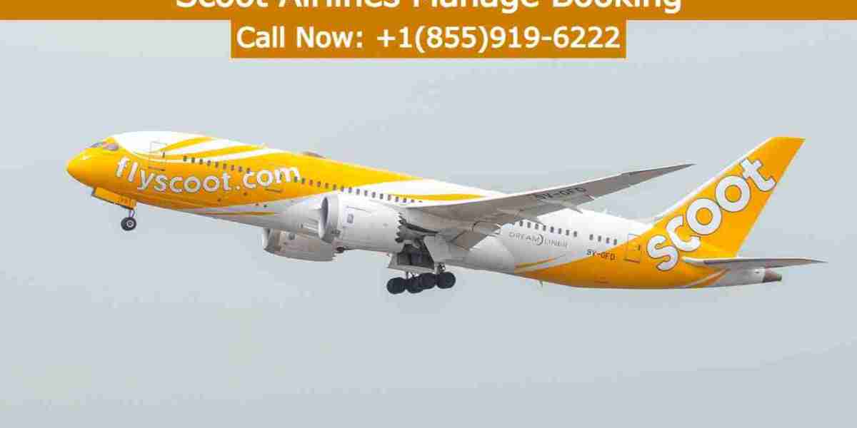 Elevate Your Travel Experience with Scoot's Booking Control