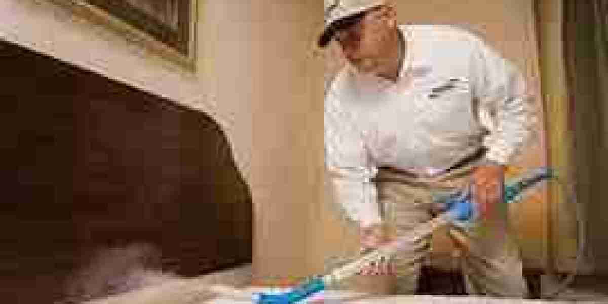 Preparing for Battle: Getting Your Home Ready for a Bed Bug Treatment