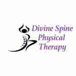 Divine Spine Physical Therapy Profile Picture