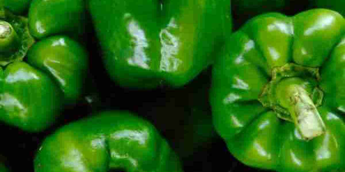 Capsicum Chronicles: Unveiling the Health Benefits