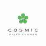 cosmicdried flower Profile Picture