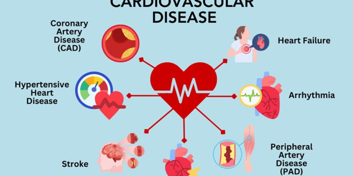 Understand Your Heart Health: Key Risks, Prevention, and Treatments