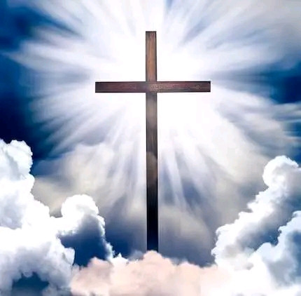 jesusflowers Profile Picture