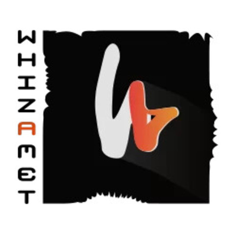 whizamet services Profile Picture