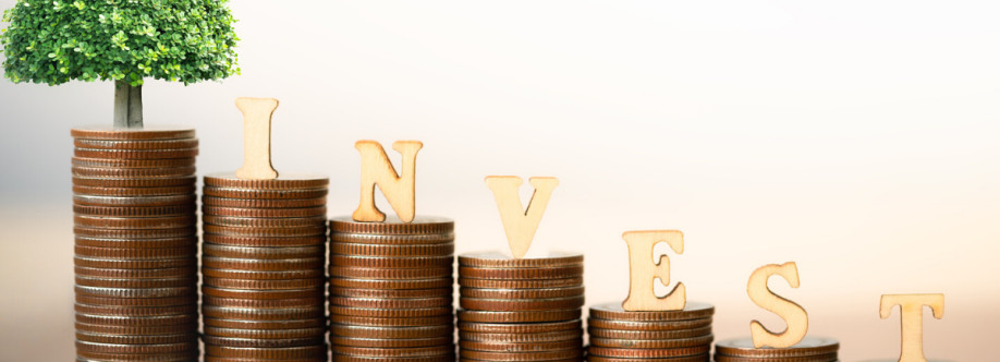 Wallstreetlist Accredited Investor List Cover Image