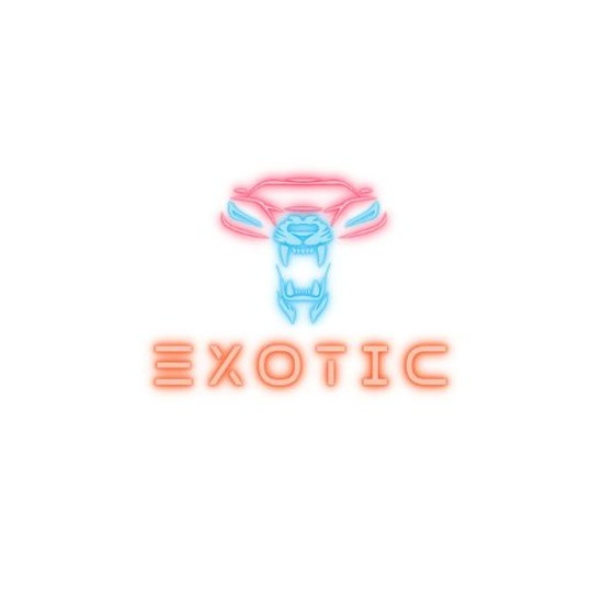 Exotic Super Car Rental Profile Picture