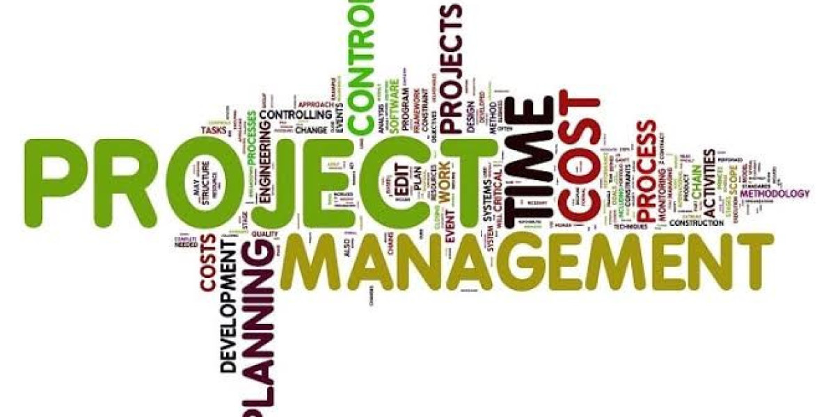 PROJECT ANALYSIS AND EVALUATION
