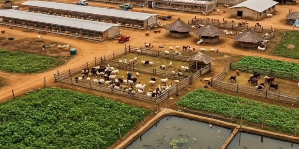 AGRIBUSINESS MANAGEMENT