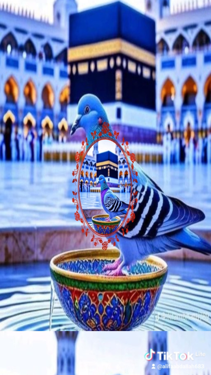 Alifa Abdallah Profile Picture