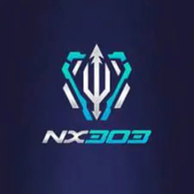 nx303 nx303 Profile Picture
