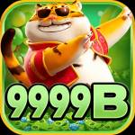 9999b 9999b Profile Picture