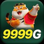 9999g 9999g Profile Picture